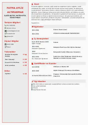 Matematik Öğretmeni Cv Örnekleri cv indir